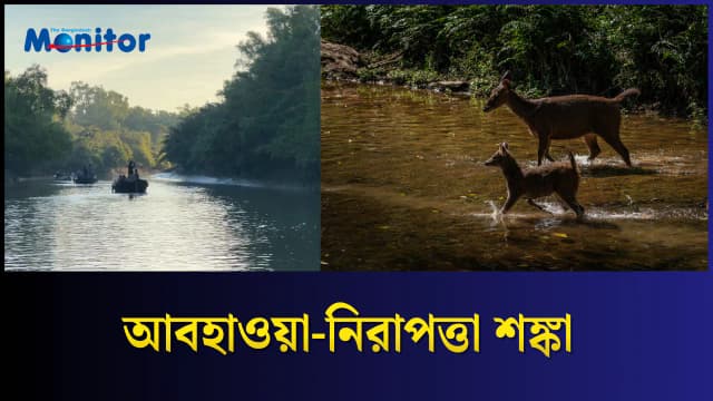 সুন্দরবনে পর্যটনে ভাটা