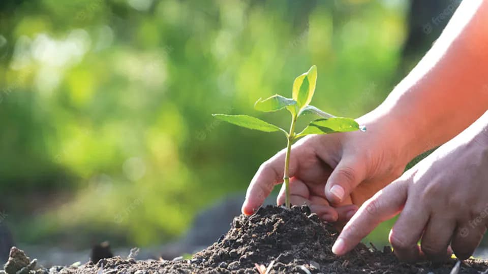 Bangladesh unveils USD 1.85b roadmap for green transition