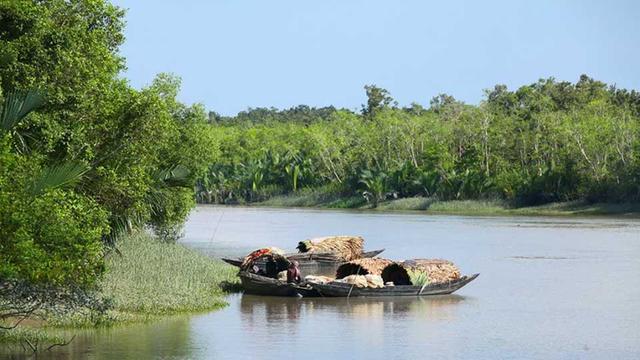 সুন্দরবনে পর্যটক খরা