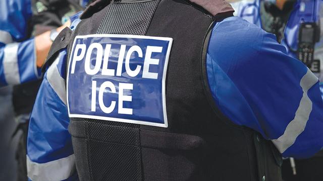 ICE targets 'birth tourism' networks in new crackdown