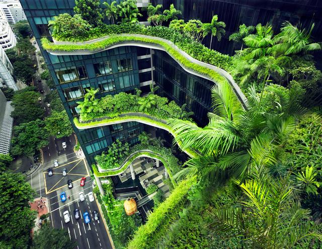 S'pore aims all its hotels to be carbon neutral by 2050