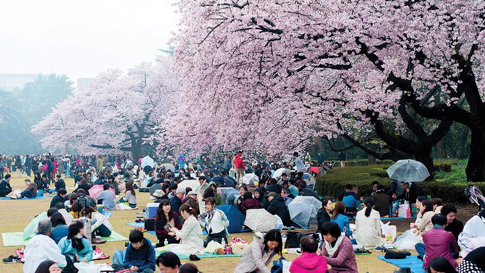 Japan moves to curb overtourism with higher visitor tax
