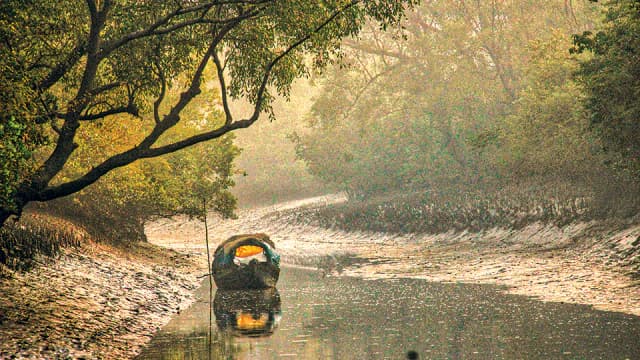 Sundarbans set to reopen after three-month closure
