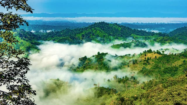 Sajek tourist spot closed until further notice, visitors asked to leave by October 13