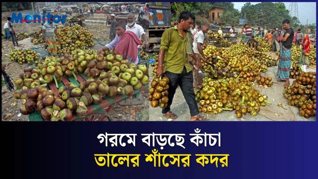 গরমে বাড়ছে তালের শাঁসের কদর