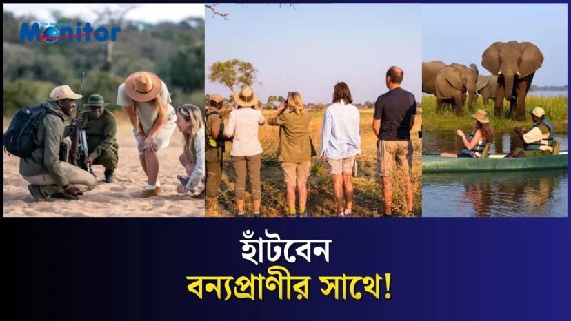 জাম্বিয়ার সেই সাফারি, যেখানে গাড়ি নয় — মানুষ হাঁটে!