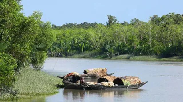 খুললো সুন্দরবনের দুয়ার