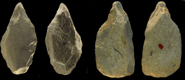 Ancient elephant bone tools discovered in Italy