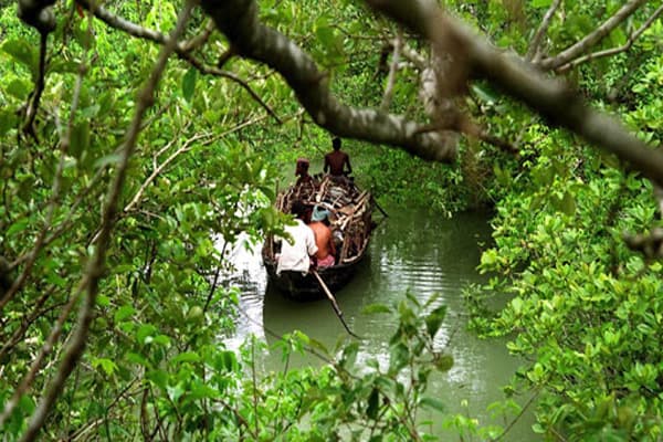 সুন্দরবনের সাতক্ষীরা রেঞ্জে ২ দিন পর্যটক নিষিদ্ধ