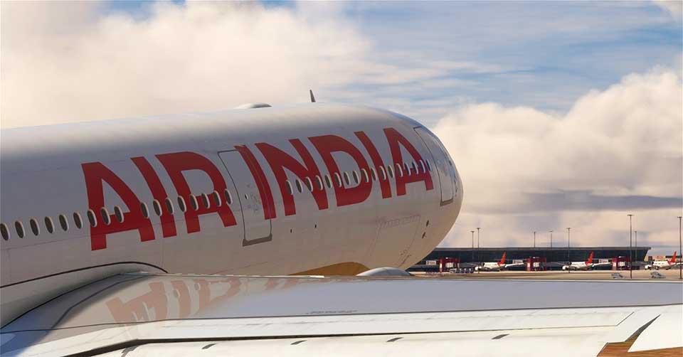 Hay found in wing delays Air India flight