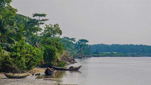 আড়াই দশকে নিঝুম দ্বীপে সবুজ কমেছে ৫০ শতাংশ