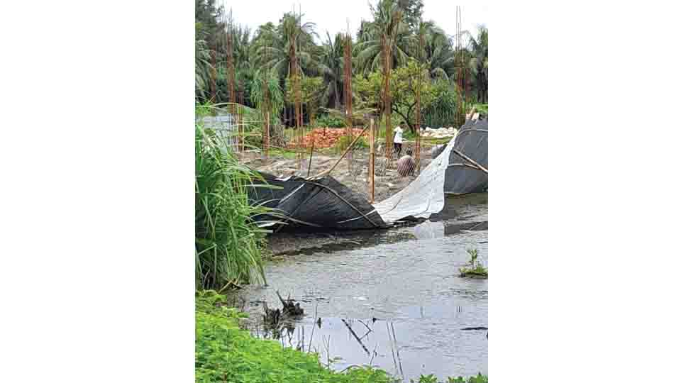 St Martin's Island under threat