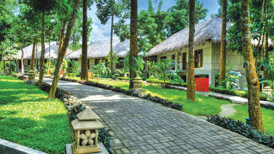55pc off at Dusai Resort and Spa this autumn