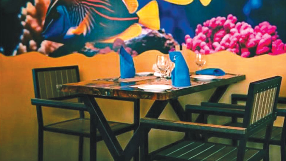 Variety of fares at Fish-n-Grill