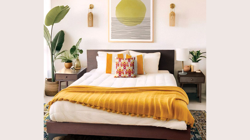 ISHO announces mega price drop, makes luxury furniture affordable