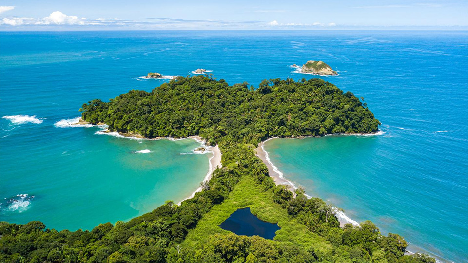 Costa Rica Focuses on Jaguar Habitats and Shark Protection