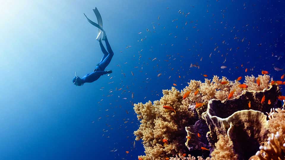 Luxury Redefined: Exclusive Experiences Await in Saudi’s Red Sea Paradise