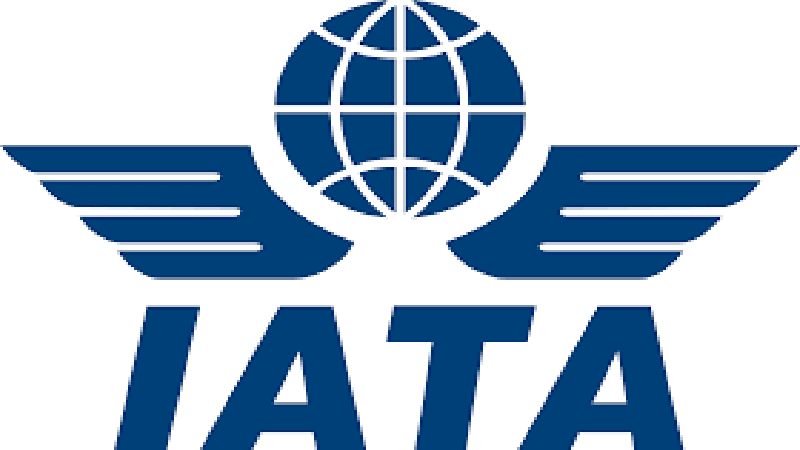 IATA stresses digitalization for smooth restart of air services