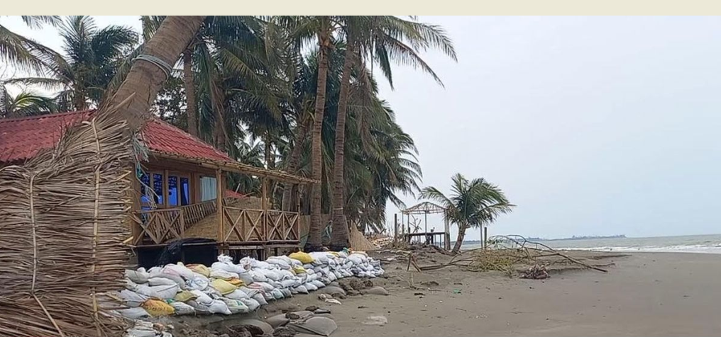 সেন্টমার্টিনে গাছ কেটে রিসোর্ট : পরিবেশের মামলা