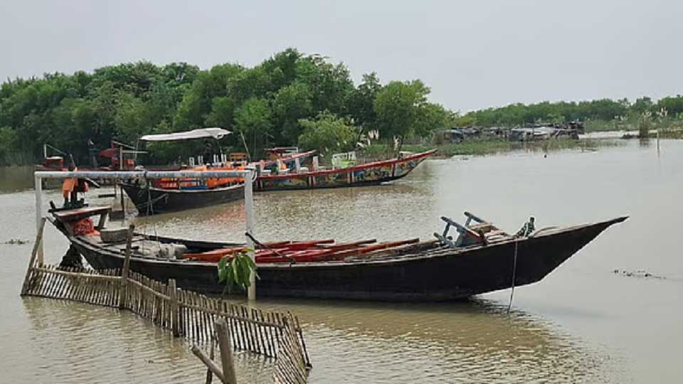 পদ্মা তীরে এক টুকরো ‘সুন্দরবন’ 