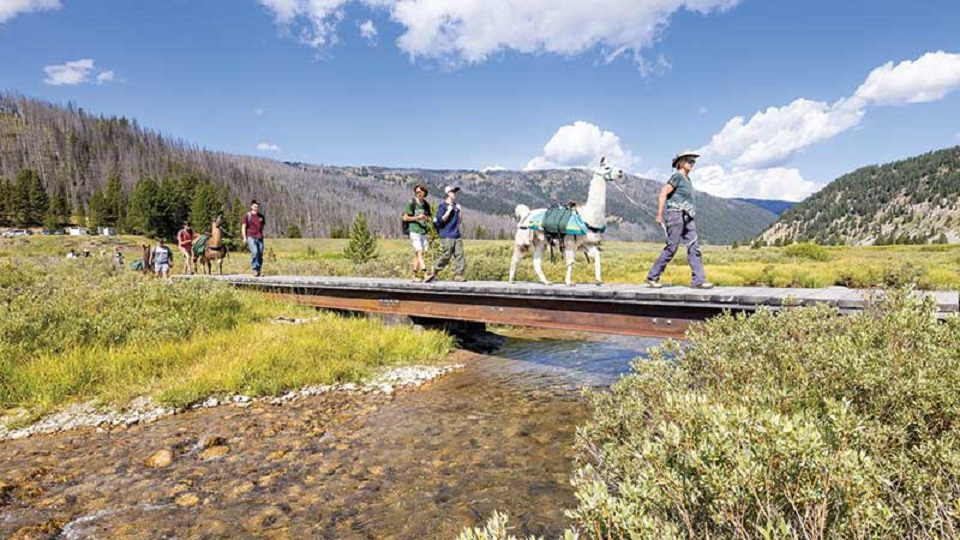 মার্কিন জাতীয় উদ্যানে বাড়তি ফি : পর্যটনে শঙ্কা