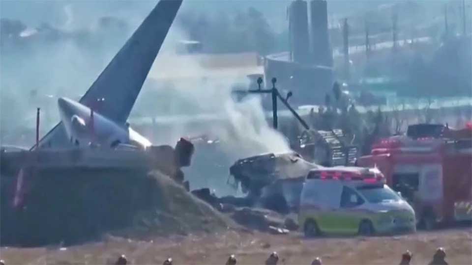 Aircraft crash leads to mass flight cancellations in S Korea