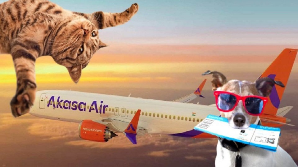 Akasa Air upgrades pet policy