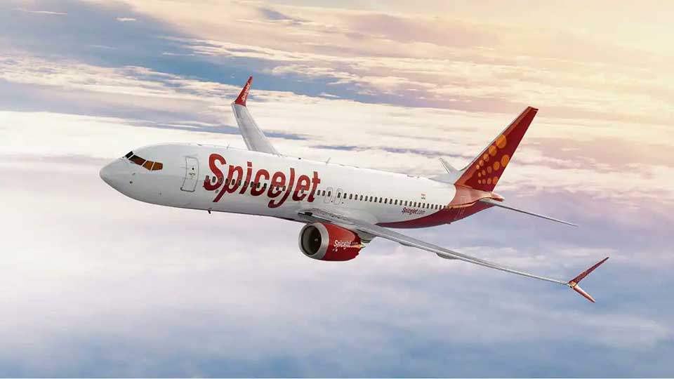 SpiceJet flight returns to Delhi after bird hit