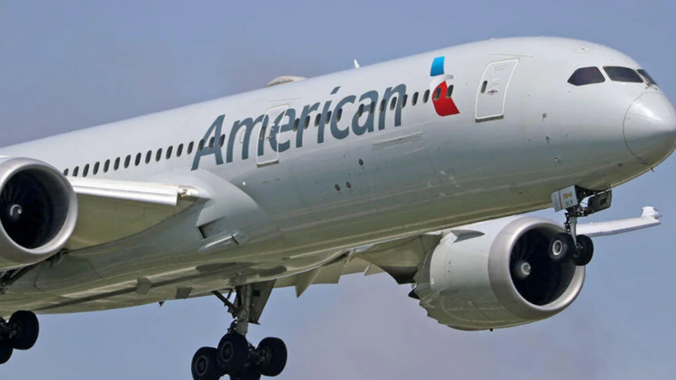 Bomb hoax: NY-Delhi flight diverted to Rome