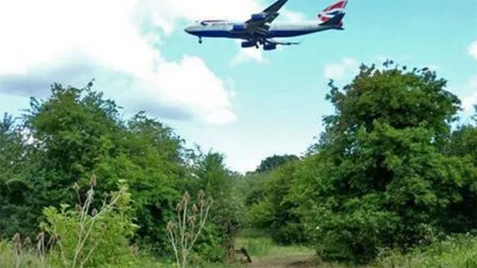 British Airways and Heathrow partner with London wildlife trust