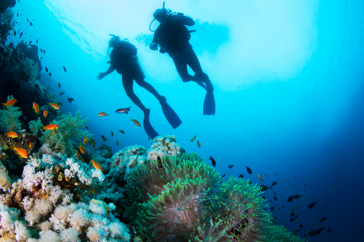 Diving tourism market to witness huge growth 