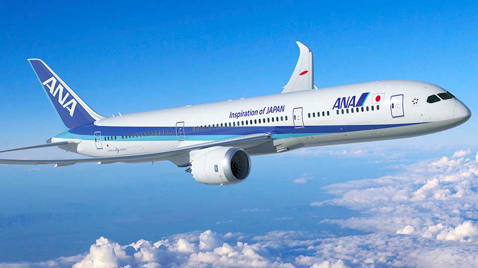 Flight turns back after man bites cabin  crew