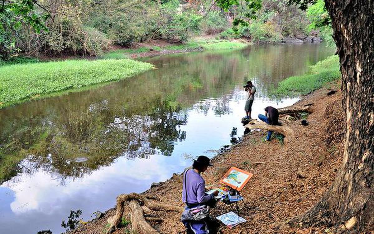 Goa govt to develop eco-tourism in forest areas