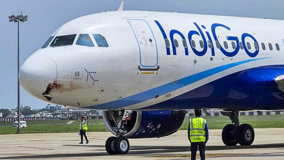 IndiGo flight suffers bird hit, lands in Ranchi