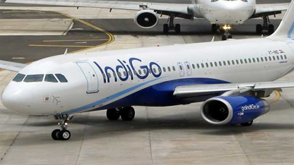 IndiGo to link 4 more US cities with Turkish Airlines
