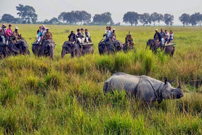 BD tour operators visit India’s reserve forests to promote Dooars tourism
