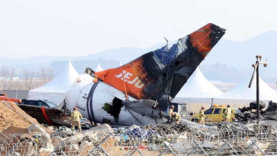 Report: Jeju air accident caused by bird strike