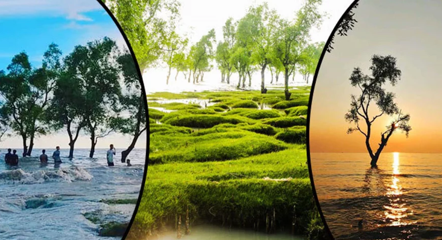 সরকারি স্বীকৃতির পর প্রাণবন্ত গুলিয়াখালী সি-বিচ