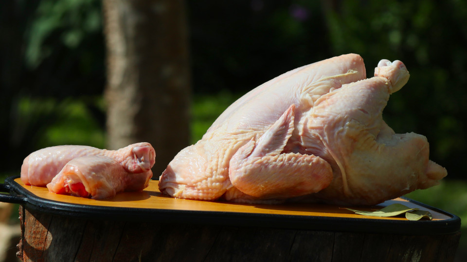 Kuwait lifts ban on import of Bangladeshi frozen poultry products