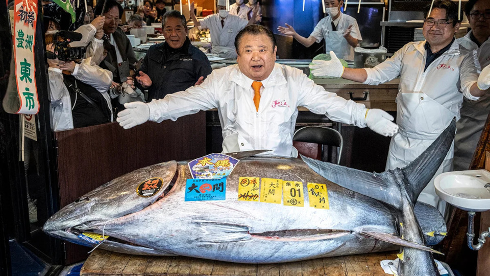 Massive bluefin tuna sells for record USD 3.2 million at Tokyo's Toyosu Auction