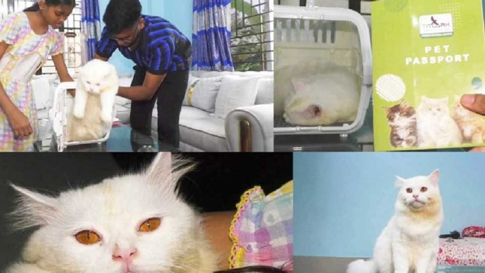 পাসপোর্ট নিয়ে মুন্সীগঞ্জের বিড়াল পৌঁছলো ইতালিতে