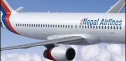 Bangaluru-bound Nepal Airlines flight suffers bird hit
