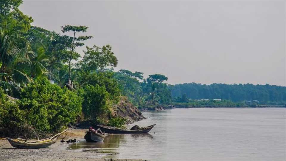 আড়াই দশকে নিঝুম দ্বীপে সবুজ কমেছে ৫০ শতাংশ