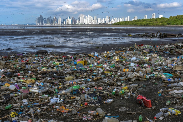 WWF urges the world to fight threat of plastics to oceans