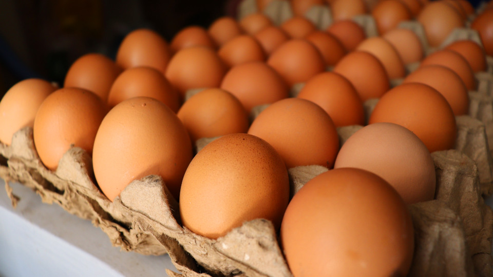 Saudi Arabia bans poultry, egg imports from Bangladesh, 39 other countries