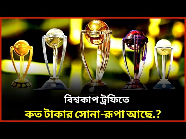 বিশ্বকাপ ট্রফির দাম কত?