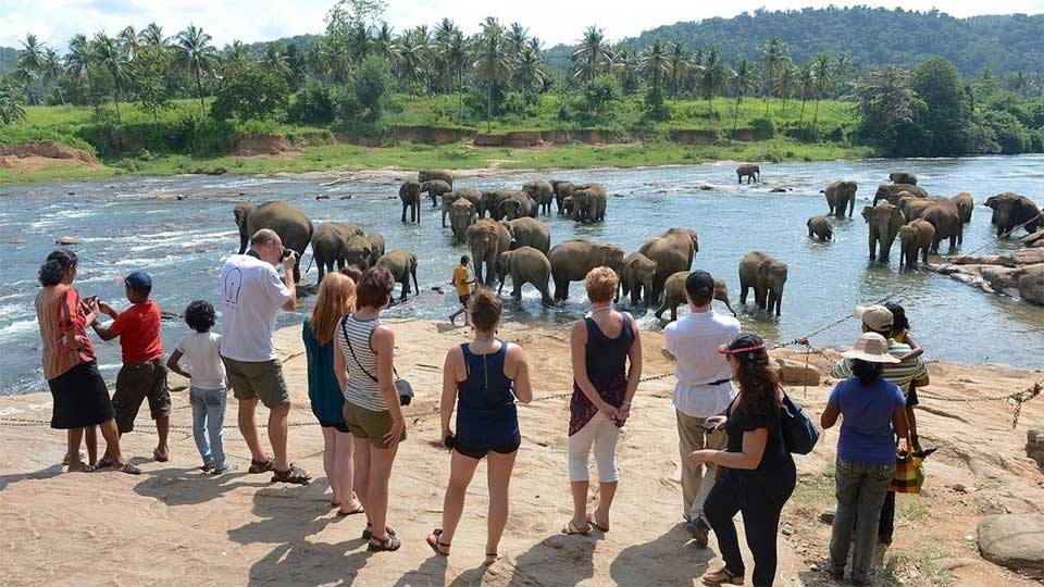 Sri Lanka sees 1.26m tourist arrivals in 2025
