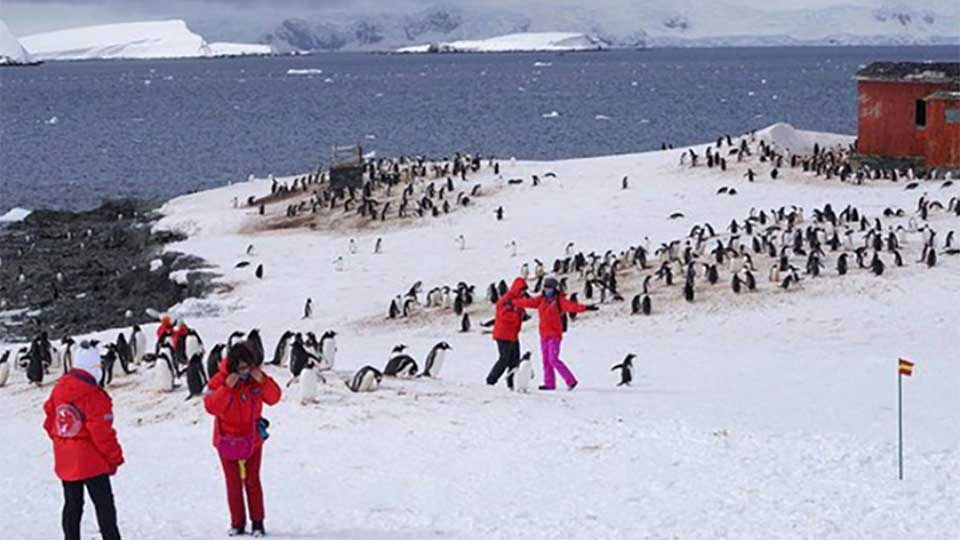 Surging tourism polluting Antarctica Surging tourism polluting Antarctica