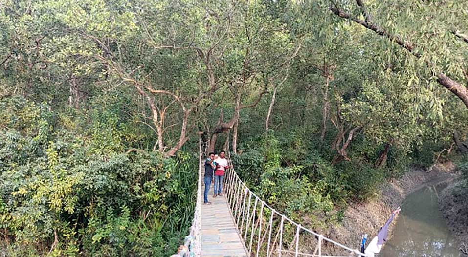 দৃষ্টিনন্দন কুকরি-মুকরি ডাকছে ভ্রমণপিপাসুদের