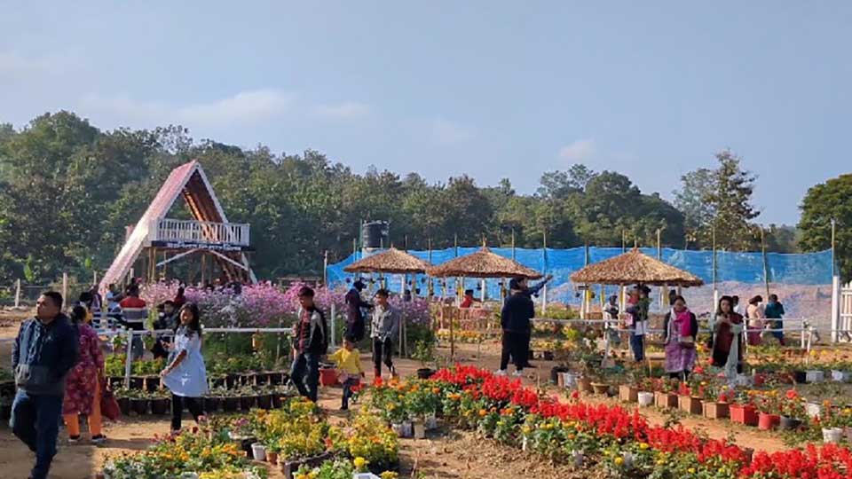 পাহাড়ে নজর কাড়ছে নার্সারি রেস্তোরাঁ